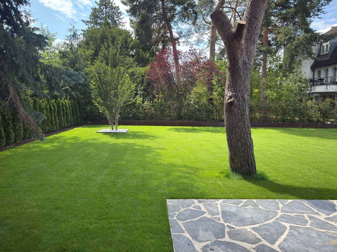 Villatropia Potsdam – Garten in Potsdam mit Rollrasen